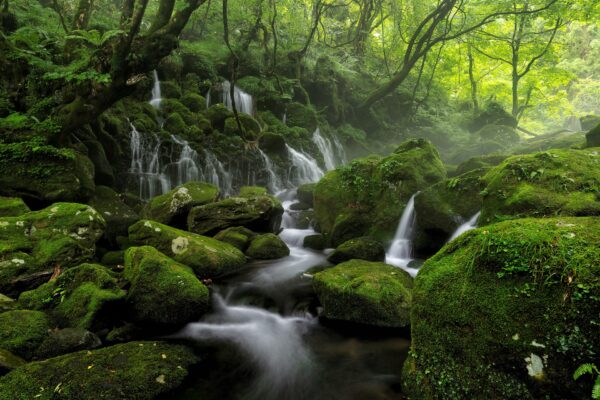 アルカリ性の水の種類アルカリ天然水